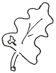 6. Příroda